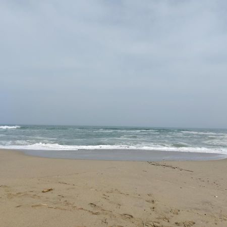 Saint Cyprien - Appart - Piscine-Mer מראה חיצוני תמונה