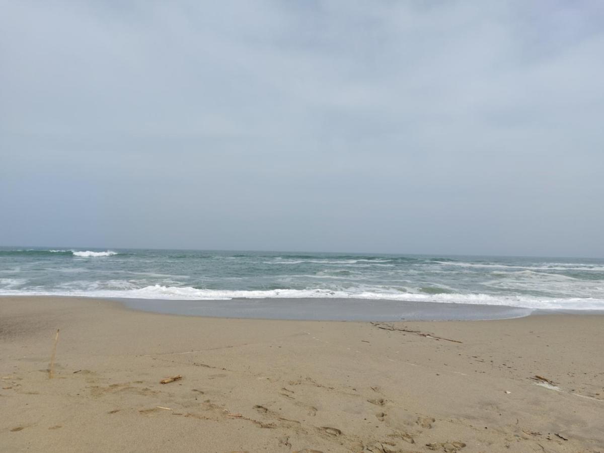 Saint Cyprien - Appart - Piscine-Mer מראה חיצוני תמונה